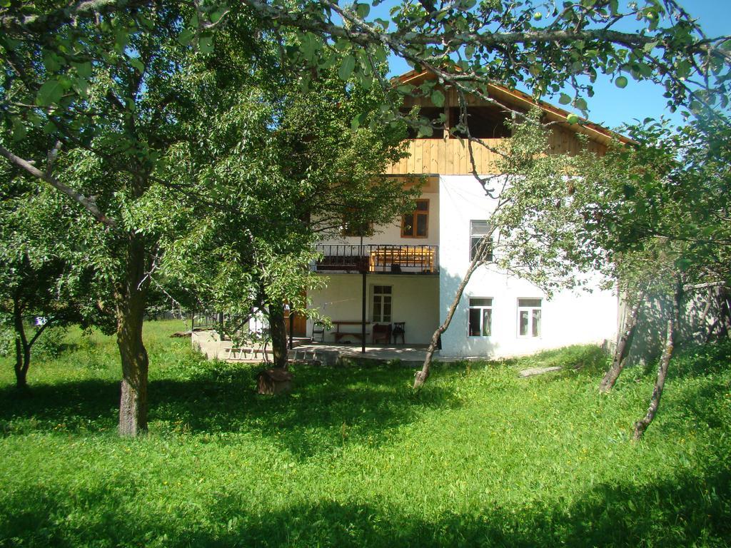 Guest House Tavaduri Mestia Zewnętrze zdjęcie
